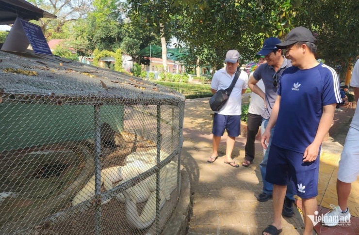 Du khách thích thú xem con trăn bạch tạng khi tham quan trại rắn Đồng Tâm