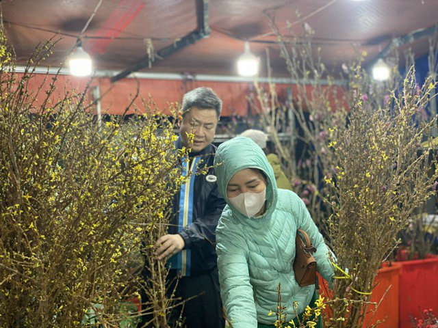 Không chỉ có các loại hoa được cắt từ vườn mà các loại hoa nhập cũng được bày bán khắp nơi.