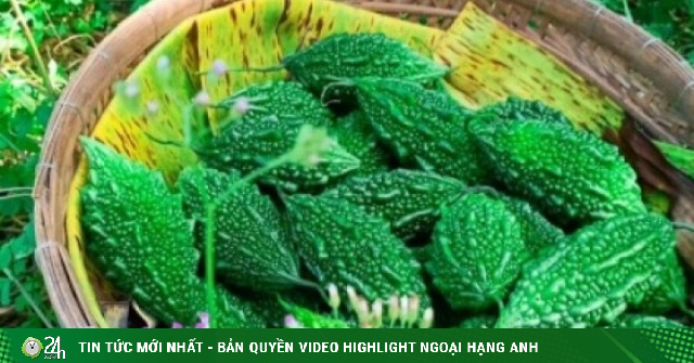 Loại quả nhiều người ghét vì đắng lại là "vua dưỡng gan" cực tốt cho sức khỏe