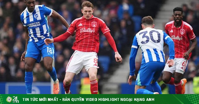 Video bóng đá Brighton - Nottingham Forest: 15 phút đầu gay cấn, phút bù giờ hồi hộp (Ngoại hạng Anh)