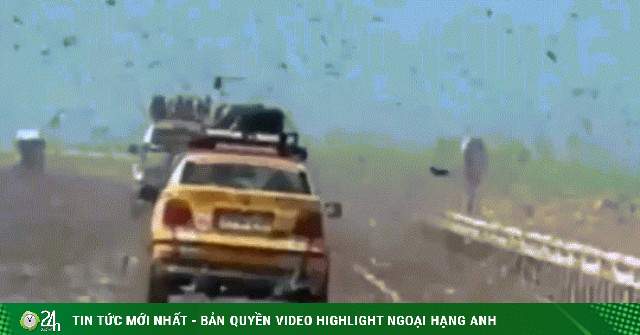 Khoảnh khắc như 'tận thế' khi lái xe qua đàn châu chấu ở Sahara