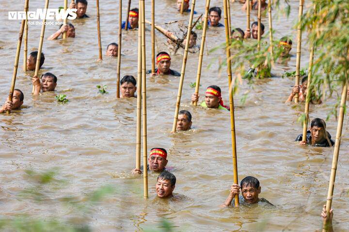 Mỗi chiếc sào dài khoảng 5-6m, phần cuối gắn khung dập đan bằng lưới mắt lớn, kết cấu chắc chắn, có thể giữ những con cá nặng tới 5 kg.