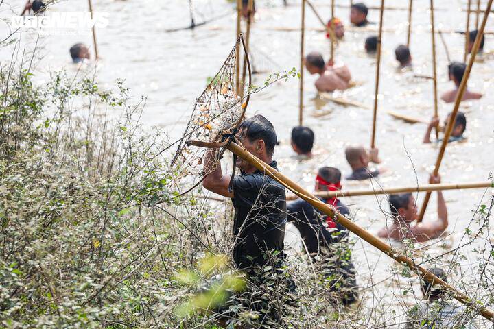 Khi phát hiện cá bơi ngang, họ lập tức dập mạnh khung lưới xuống mặt nước. Cá mắc lại bên trong, một người giữ chặt sào, người còn lại nhanh chóng lặn xuống để bắt.