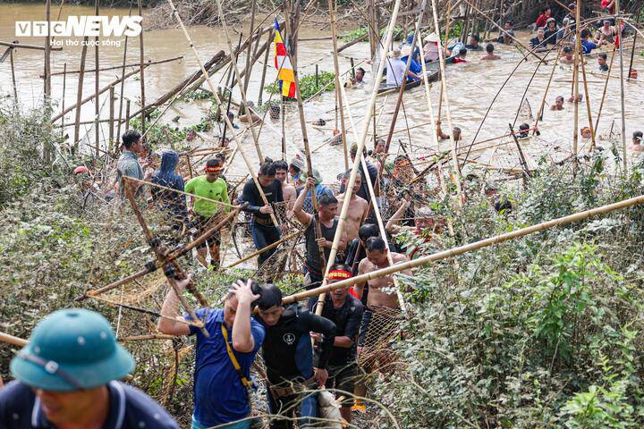 Khi dồn cá về điểm cuối, mọi người đưa cá lên bờ, sau đó quay lại đầu sông để tiếp tục vòng dập mới.