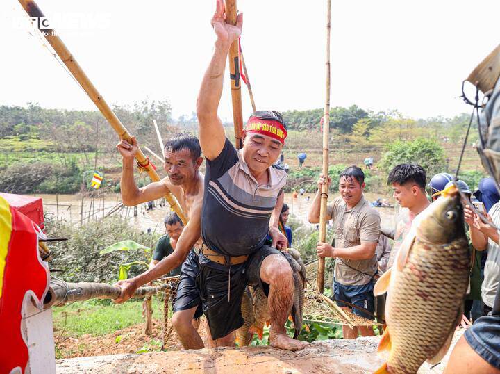 Người dân ngoại thành Hà Nội hò reo dập sào bắt cá trên sông Tích Giang - 13