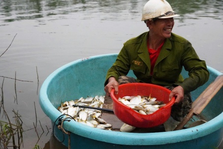 Mùa săn cá mòi dưới chân đập Rào Nan