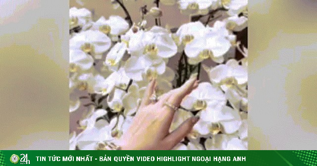 'Kết ấn cầu tài' là gì mà rần rần mạng xã hội?