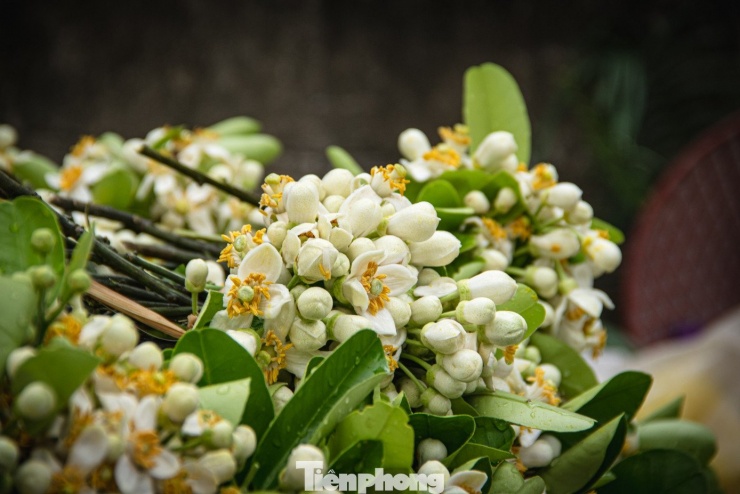 Mùa hoa bưởi sẽ kéo dài khoảng 20 ngày. Ngày thường hoa được bán với giá 30.000 - 50.000 đồng/lạng nguyên cành, hoa rời thì 20.000 đồng/lạng. Trong ngày chính rằm tại chợ Hàng Bè, giá bán hiện ở mức 50.000 - 100.000 đồng/lạng, cao gấp đôi so với ngày thường.