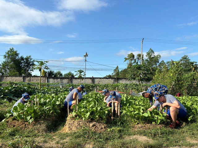 Ngay trong ngày đầu tiên nhập ngũ, các tân binh tăng gia sản xuất tại đơn vị.