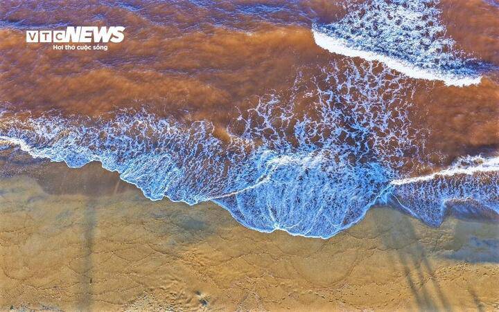 Theo kết quả phân tích của Sở NN&MT tỉnh Gia Lai, nước biển tại khu vực trên không phát hiện hiện tượng tảo nở hoa như dư luận rầm rộ.