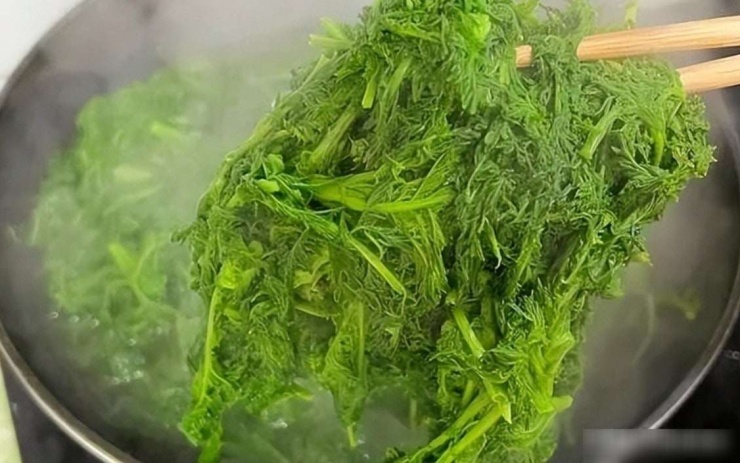 Loại rau báu vật từ lá đến rễ, nhiều người coi như cỏ dại, bổ não, dưỡng sức, làm bánh bao ngon tuyệt - 3