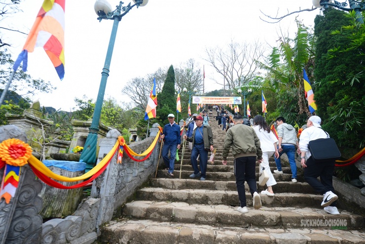 Dòng người hành hương lên bậc đá dưới cờ Phật giáo.