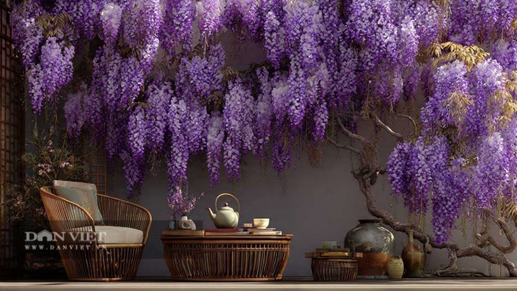 Hãy nhớ cắt tỉa cây cảnh sau khi ra hoa mỗi năm.