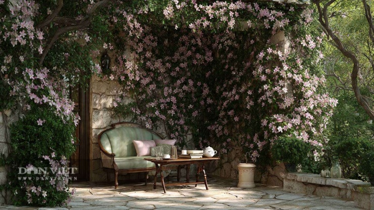 Cây cảnh này hơi "khó tính"