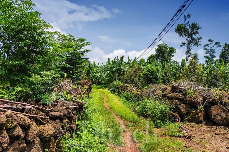 Nhưng đích đến nghe thật kích thích - “Hang Cọp Ba Móng”, cái tên gợi liên tưởng đến một vùng hoang địa cổ xưa, nơi đầy rẫy hiểm nguy và cũng thật mê hoặc.