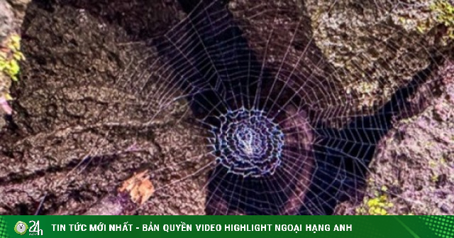 Theo dấu truyền thuyết “Cọp ba móng” trong rừng già Đồng Nai Thượng