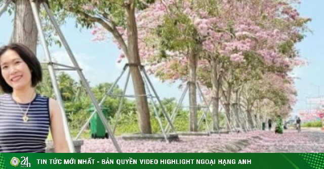 Du khách mê mẩn với hoa kèn hồng ở Cần Thơ