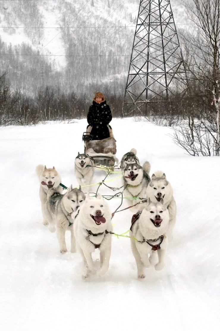 Đoan Trường chịu lạnh -20 độ săn cực quang tại Nga - 4