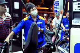 Giá dầu tăng tới 15.000 đồng/lít trong ít ngày, xăng vẫn thấp hơn đỉnh lịch sử