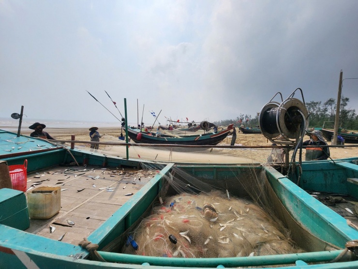 Đại diện chính quyền xã Đồng Tiến (Hà Tĩnh) cho biết, thời điểm này đang vào mùa khai thác cá trích của ngư dân địa phương. Những ngày gần đây, nhờ thời tiết thuận lợi và xuất hiện nhiều luồng cá gần bờ, bà con vươn khơi đánh bắt liên tiếp trúng đậm cá trích. Sản lượng khá giúp nhiều tàu cá có nguồn thu nhập ổn định sau dịp Tết Nguyên đán.