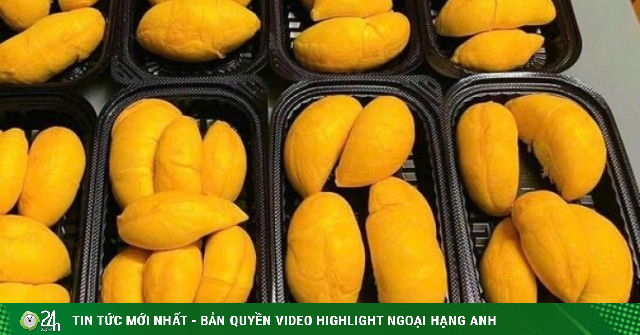 Sầu riêng gai đen tiền triệu mỗi trái vẫn ‘cháy hàng’