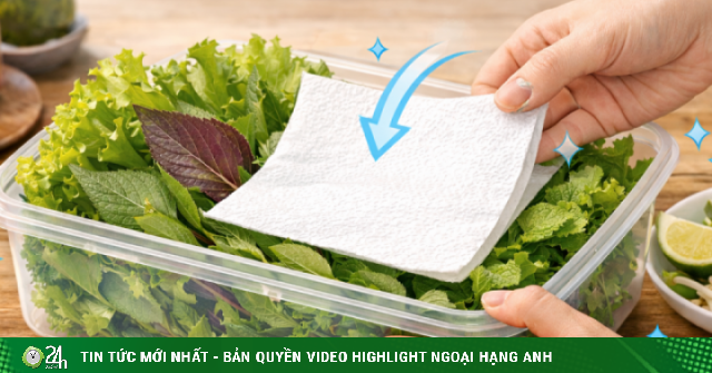 Mẹo bảo quản rau sống trong tủ lạnh tươi ngon suốt hai tuần