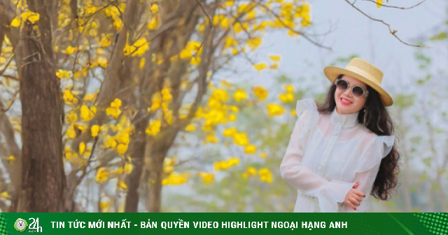 Hoa phong linh nở rực vàng Hà Nội, đứng vào là có ảnh đẹp