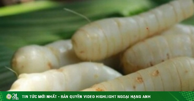 Việt Nam có "báu vật dưới lòng đất" hương vị đặc biệt, tốt chẳng kém nhân sâm