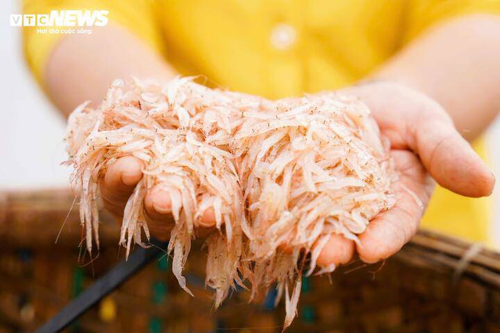 Ruốc đỏ au được vận chuyển vào bờ và bán "đắt như tôm tươi".