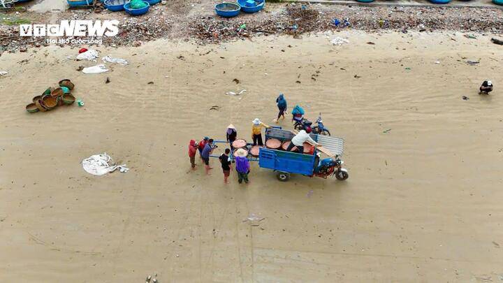 Tại bãi biển Đông Sơn, cảnh mua bán ruốc diễn ra tấp nập suốt buổi sáng. Nhiều thương lái từ các địa phương lân cận cũng tìm đến thu mua.