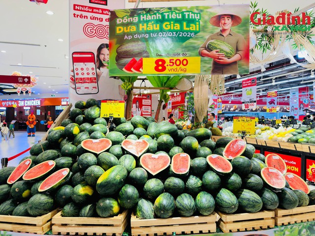 Quầy hàng bày bán dưa hấu Gia Lai với mức giá 8.500 đồng/kg, tại siêu thị GO! tại Hà Nội.