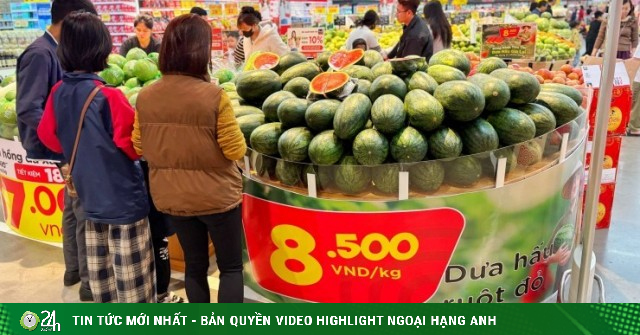 Chỉ 8.500 đồng/kg, vì sao dưa hấu Gia Lai rẻ bất ngờ giữa lúc giá xăng dầu tăng?