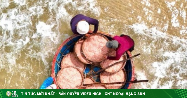 Ruốc đỏ au xuất hiện dày đặc ở vùng biển gần bờ, ngư dân bội thu