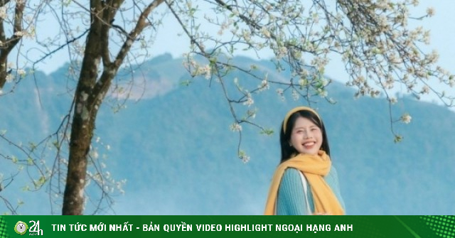 Mùa hoa sơn tra ở Tà Xùa nở rộ, khách Hà Nội vượt 240km tới check-in