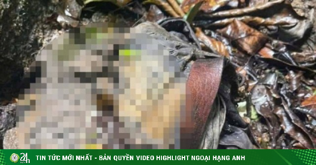 Phát hiện bộ xương người ở bìa rừng