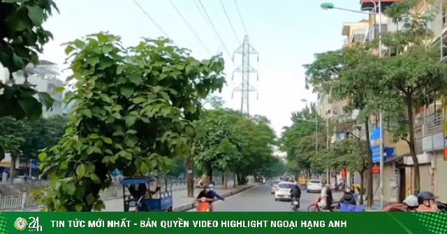 Tháng 3/2026, bất ngờ trước giá cho thuê nhà riêng tại 3 phường Hai Bà Trưng, Bạch Mai và Vĩnh Tuy (Hà Nội)