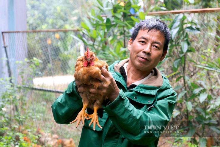Loài vật từng chỉ có trong truyền thuyết Sơn Tinh – Thủy Tinh nay thành kiểu làm giàu của người dân Phú Thọ - 3