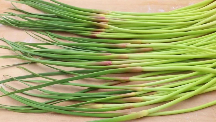 Loại rau này rất giàu dinh dưỡng, chứa nhiều chất có lợi.