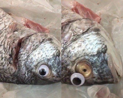 Mẹo xương máu phân biệt cá tươi và cá ươn, người bán 'cậy mồm' cũng không nói - 1