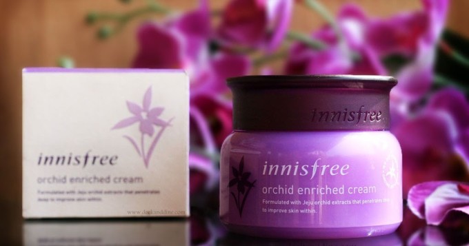 Innisfree Jeju Orchid Enriched Cream.