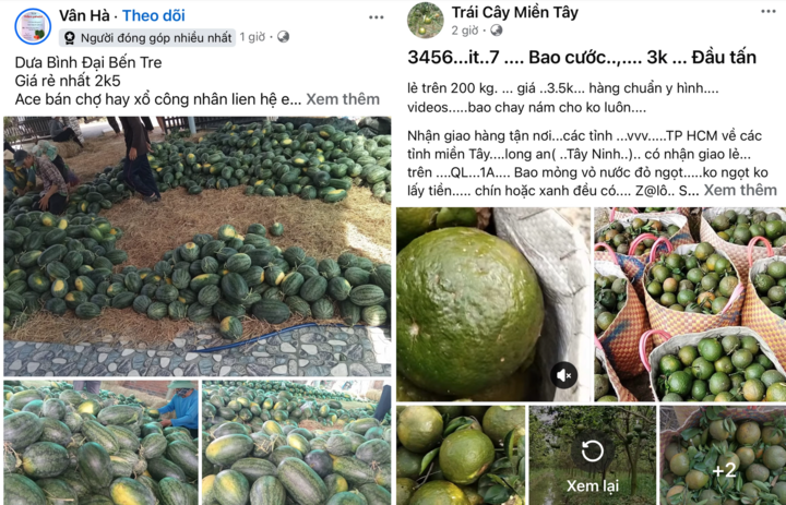 Cam, dưa hấu giá rẻ không chỉ bán ở vỉa hè mà còn được rao bán nhiều trên các hội nhóm mạng xã hội.