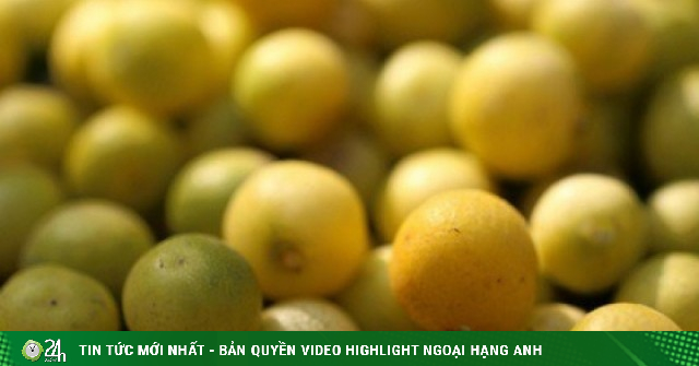 Loại quả nhỏ xíu được trồng khắp Việt Nam, đứng đầu danh sách quả 'tốt nhất thế giới', giá chỉ vài nghìn đồng, ăn cực tốt