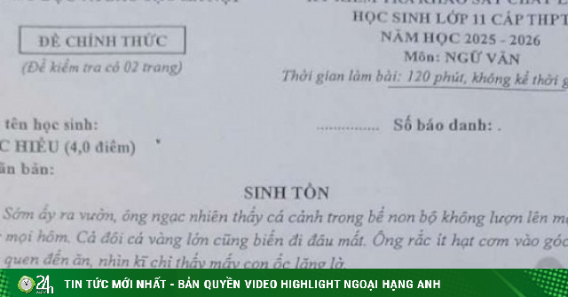 Đề thi Văn khảo sát chất lượng học sinh 11 Hà Nội với nội dung gây chú ý