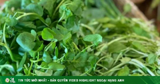 Loại rau từng bị coi như cỏ dại nhưng lại tốt cho gan