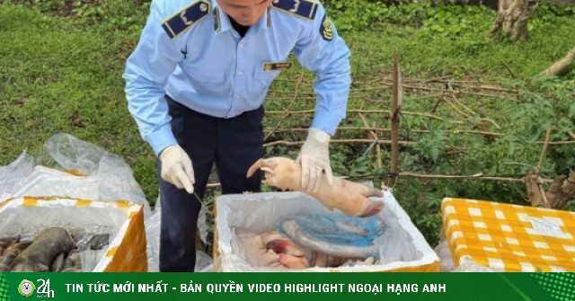 Kinh hoàng hơn 2,6 tấn chân trâu, nội tạng động vật không rõ nguồn gốc vừa bị phát hiện khi lưu thông trên cao tốc Bắc – Nam