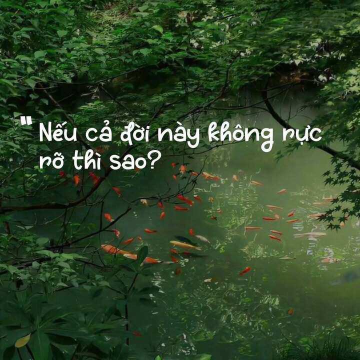 “Nếu cả đời này không rực rỡ thì sao?” đã chạm đúng tâm trạng chung của nhiều thế hệ.