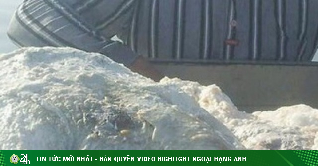 Đánh cá trên biển, 3 ngư dân vớt được thứ trị giá 67 tỷ đồng