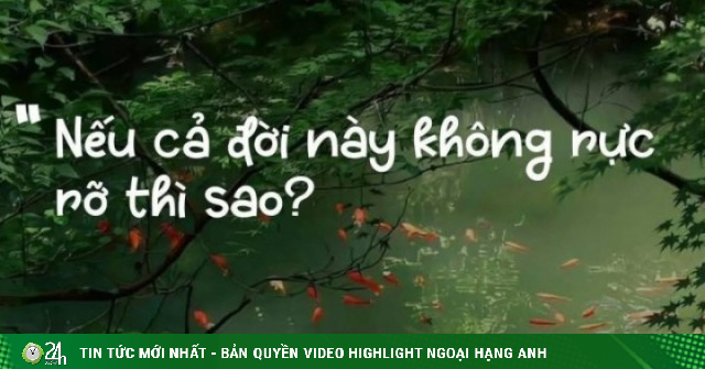Vì sao câu nói 'Nếu cả đời này không rực rỡ thì sao?' gây sốt mạng?