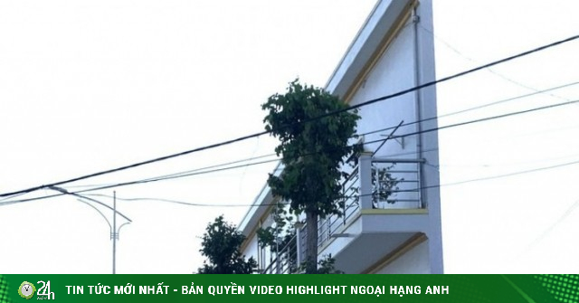 CLIP: Bất ngờ bên trong căn nhà "kỳ lạ" ở Cần Thơ