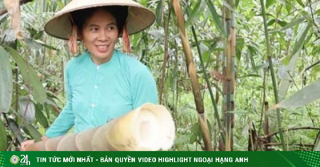 Đặc sản cứ mùa mưa đến lại mọc lên như nấm ở vùng cao Lào Cai tăng giá gấp đôi nhờ cách làm này của nữ giám đốc 9X